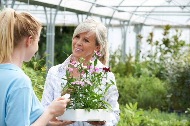 vente plante extérieure